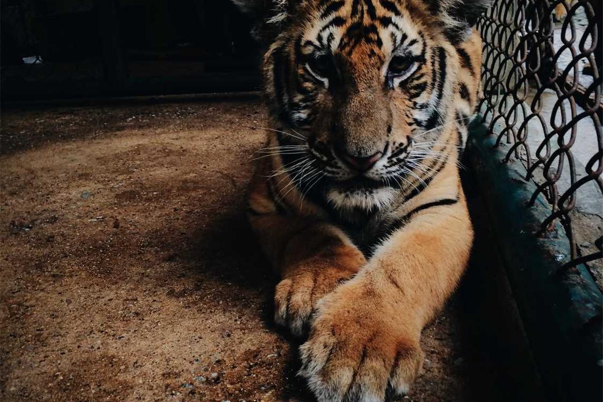 2024 Gayrimenkul Piyasası Trendleri ve Beklentiler